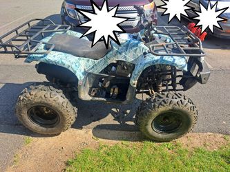 2022 Tao tao Rhino 250