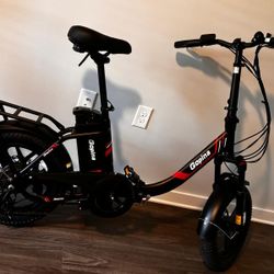 Electric Folding Bike 