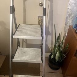 gorilla Ladders 
