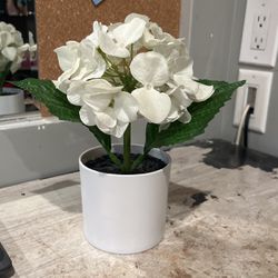 White Fake Plant