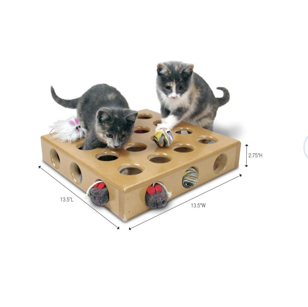 Pet Toy- Peek A Prize