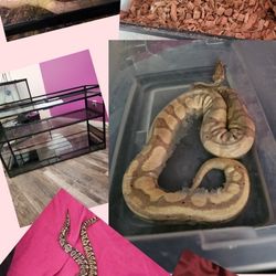 New Zip Codes With Tanks