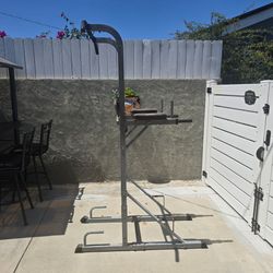 Pull-Up / Dip Station
