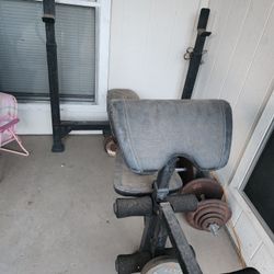 Weight Bench