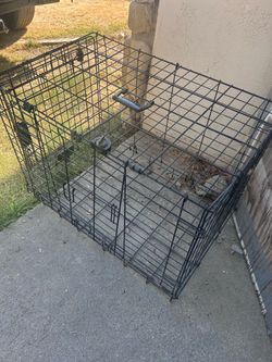 Cage