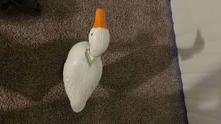 Lawn Duck
