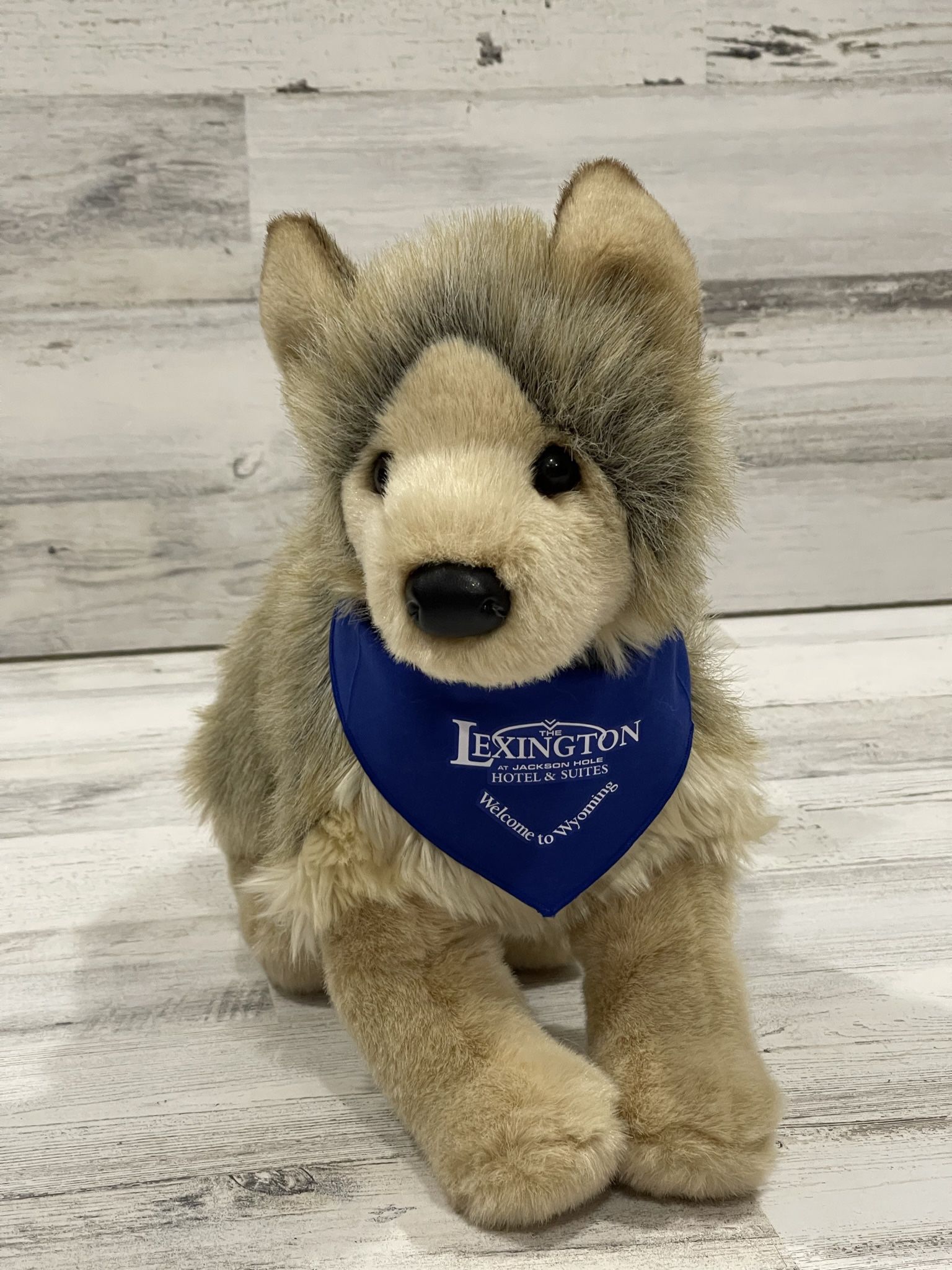Douglas Toys Plush Tyson Wolf Lexington Hotels, Bandana