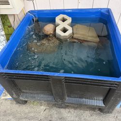 Fish Pond/Tub
