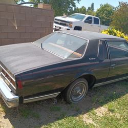 1979 Chevy Caprice Classic Coupe