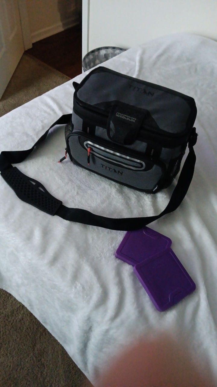 Cooler With 2 Ice Packs