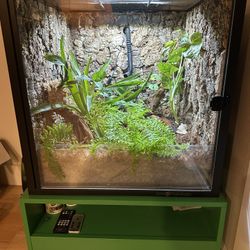 Bioactive Enclosure For Reptiles & Amphibians