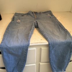 Torrid Jeans