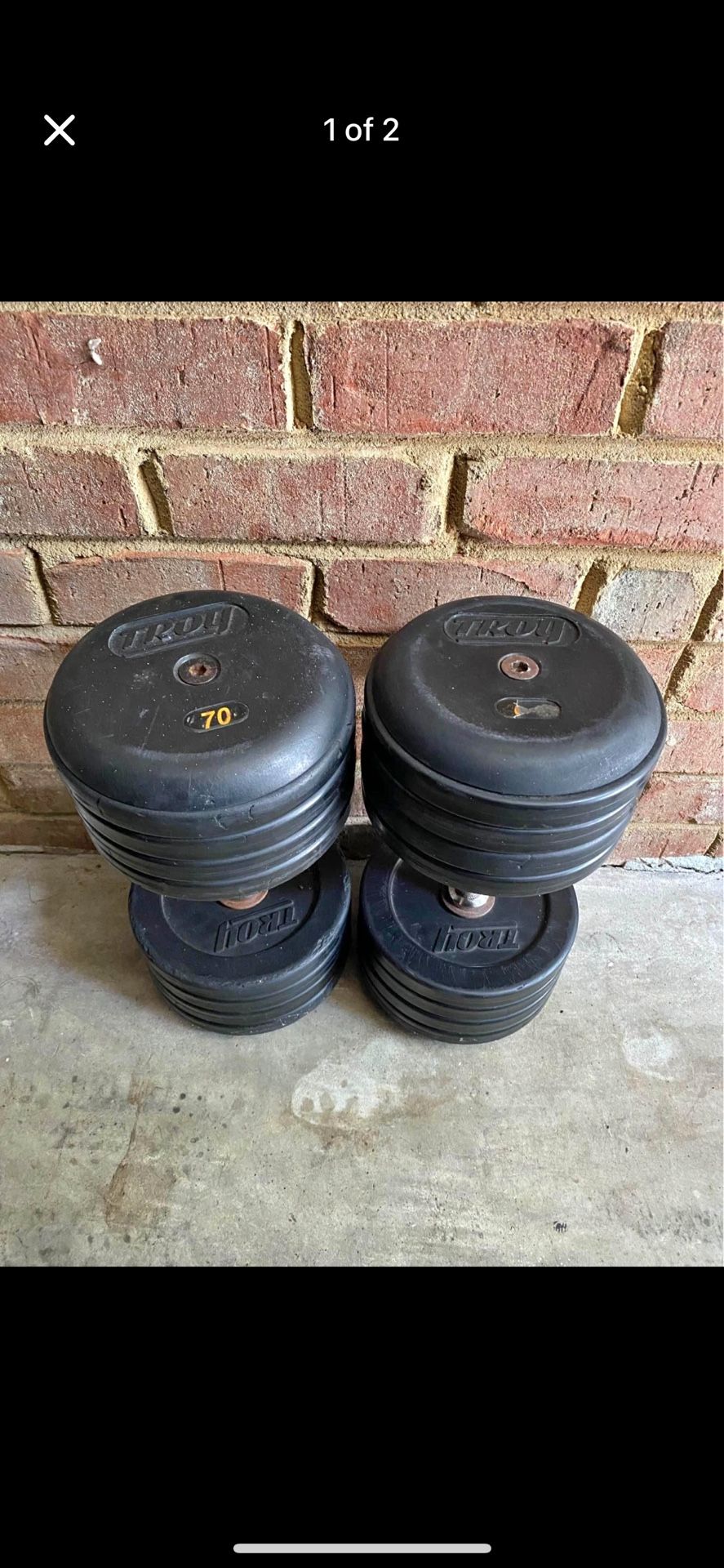 Troy Dumbbells