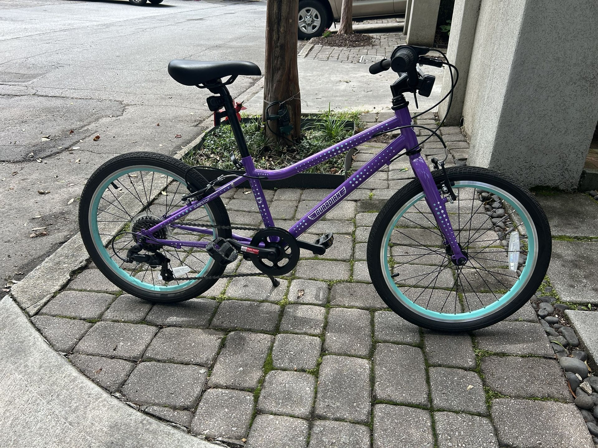 Purple 20in Guardian Bike Large with Gears - 6-9 Year-old