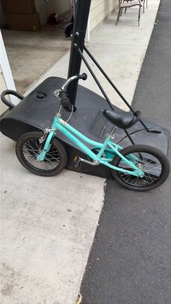 Retrospec Childs bike