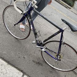 1995 Trek 2100 ZX  Carbon Series Road Bike 