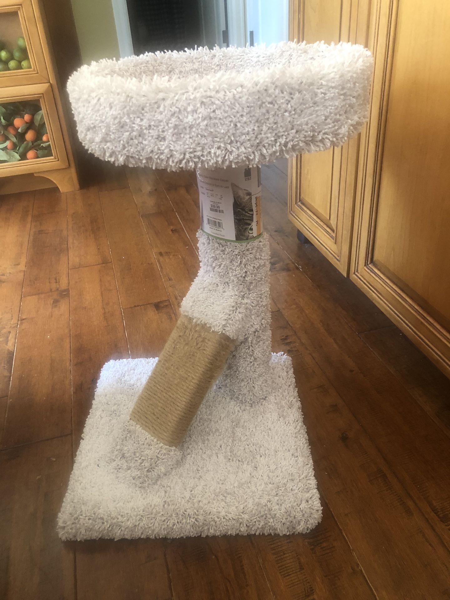 Cat/Kitty Furniture