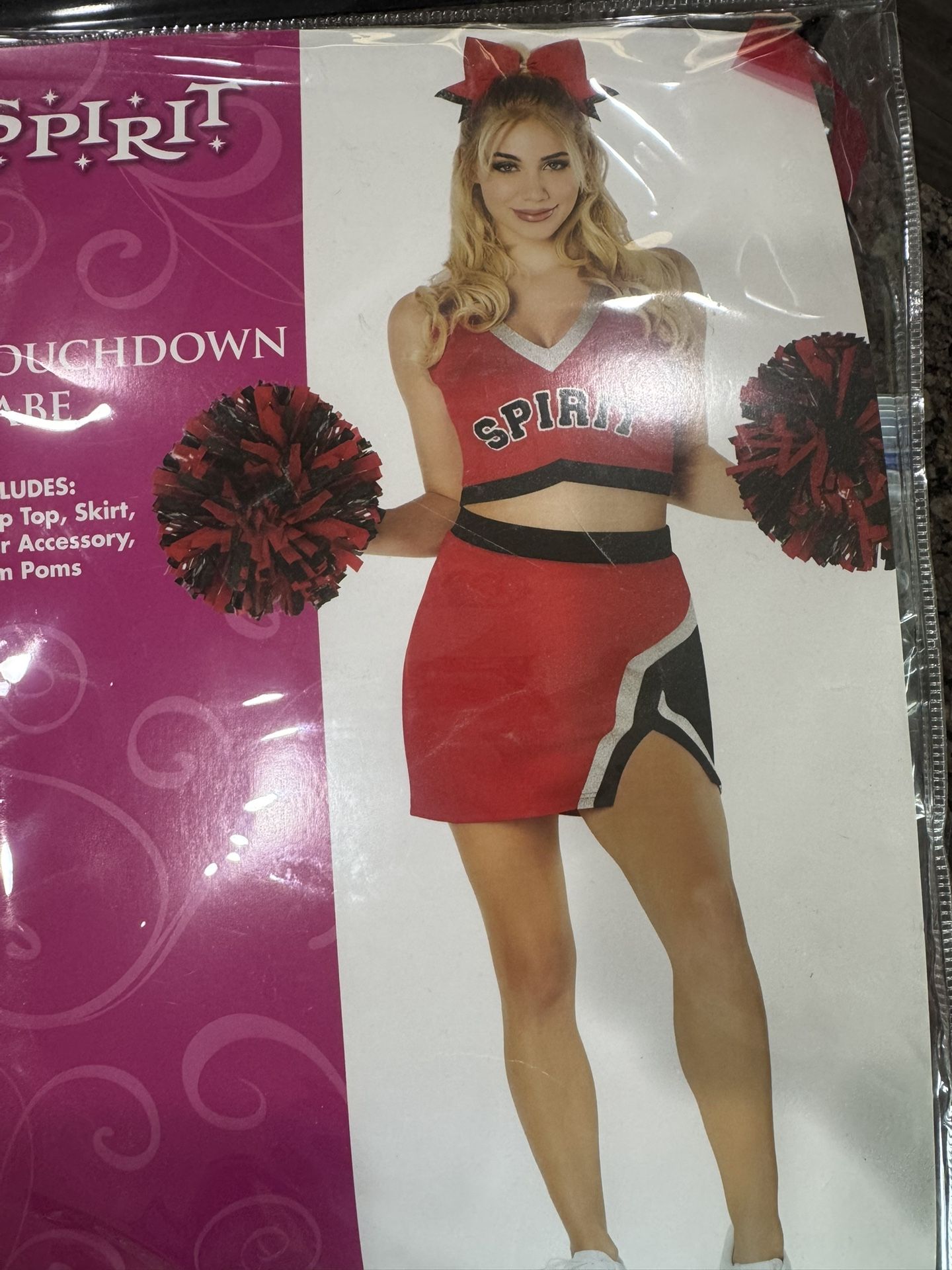 Cheer Leader Halloween Costume