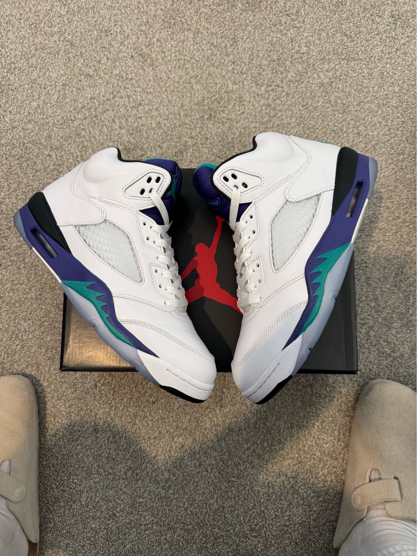 Jordan 5 grape size 9.5