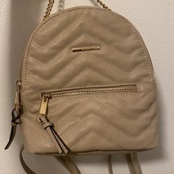 Aldo Backpack Purse  (w/ coin purse)