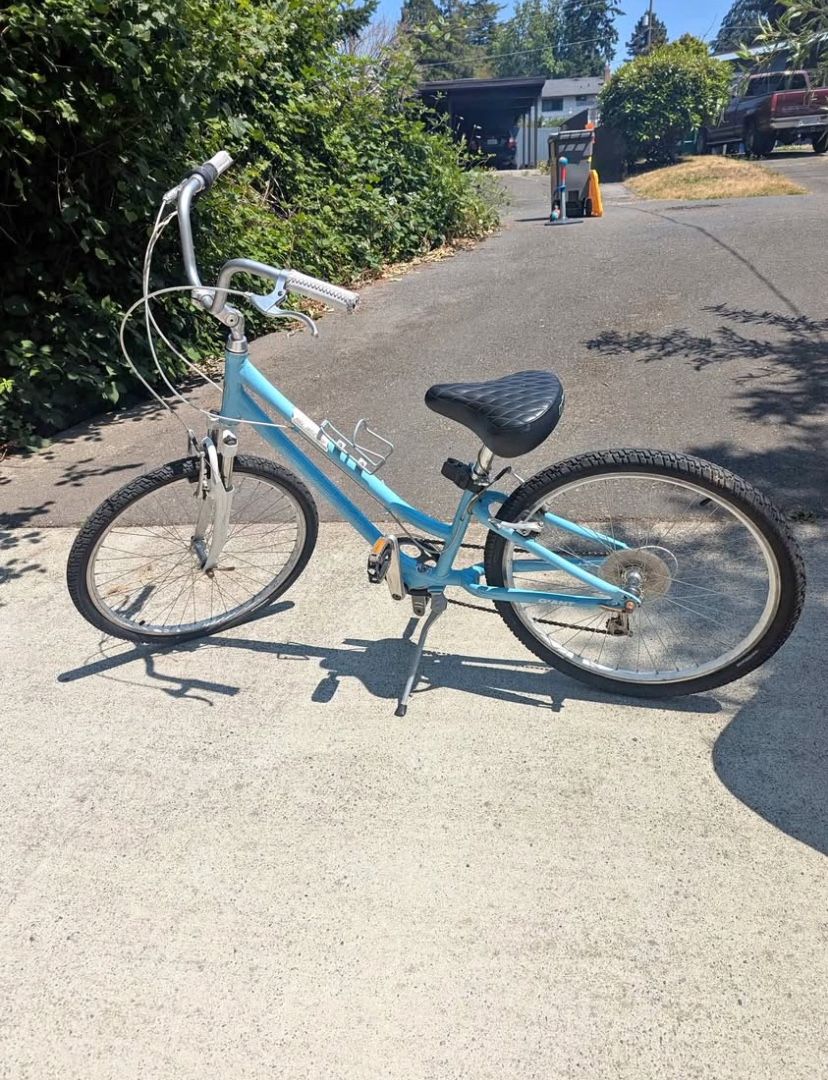 26’ Suede Bike