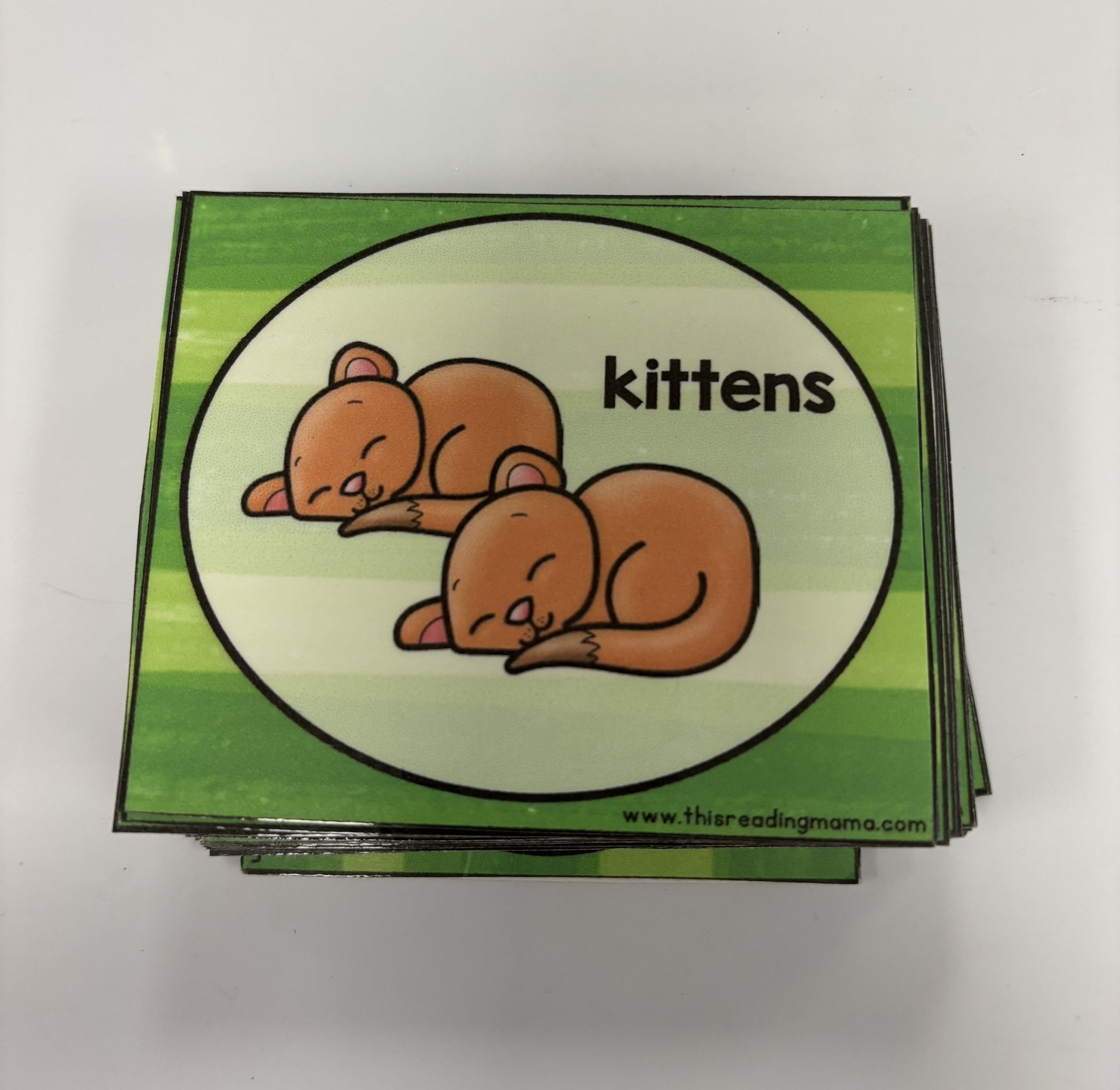 Word Family Matching Game