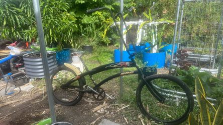 Black Lowrider Cruiser Bicycle with Flame Graphics