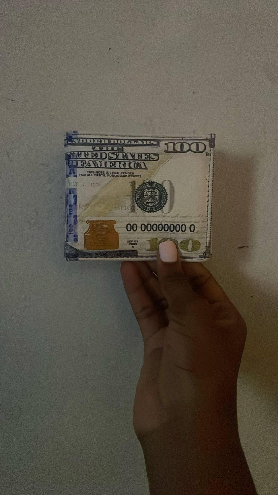 $100 Bill Wallet