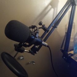 2 Neewer Nm700 Professional Grade Recording Studio Microphones 