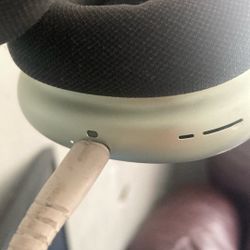 Apple Headphones 