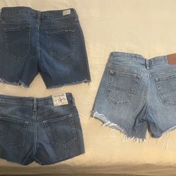 Women’s Shorts 