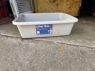 Litter Box