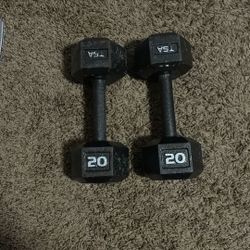 20 Pound Dumbells 