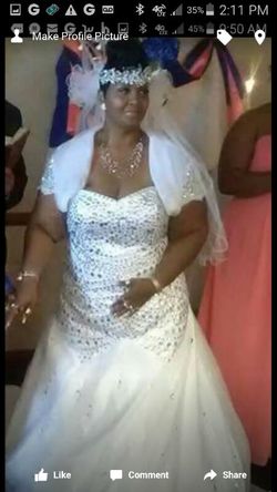 Wedding dress and Vail