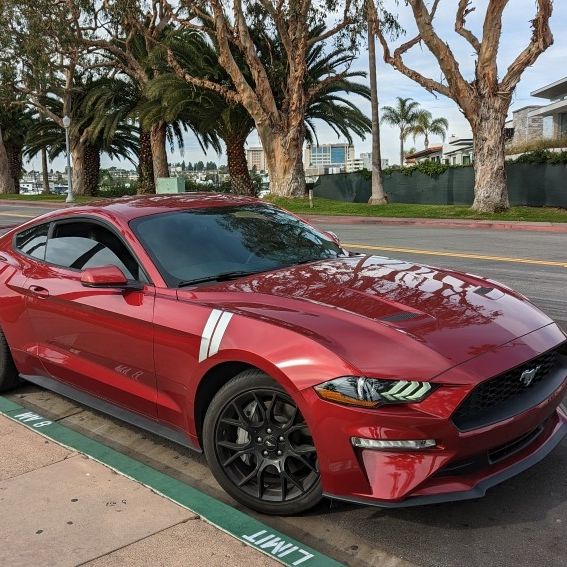 2019 Ford Mustang