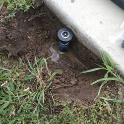 Sprinkler 