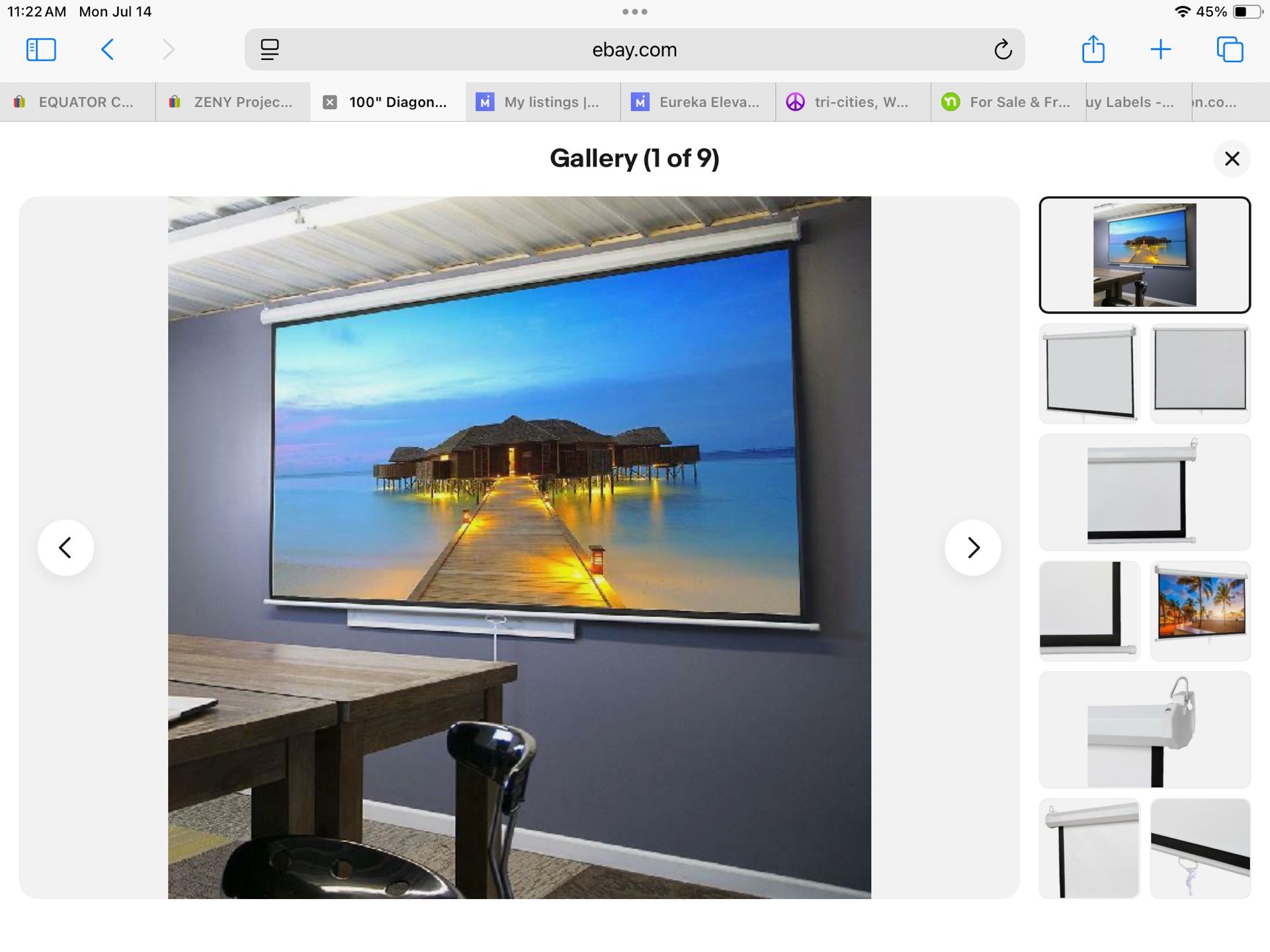 Zeny 100" Diagonal 16:9 Projection Projector Screen HD Manual Pull Down Home