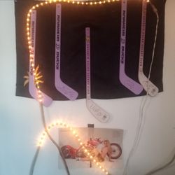 Autographed  Mini Hocky Sticks Ducks