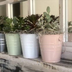 Adorable Succulents For Easter