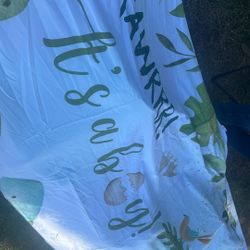 It’s A boy Dino Backdrop 