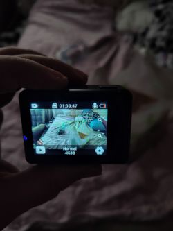 Wolf gang go pro