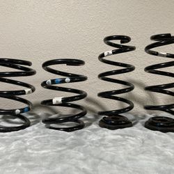 Audi TT RS OEM Springs