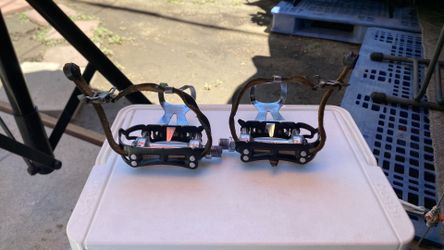 Campagnolo  pedals
