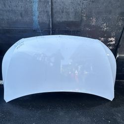 2016-2023 Mercedes Metris Hood 