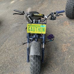 Mini Gas Bike 
