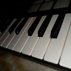 Mini Piano ; World Brand ! Brand New .