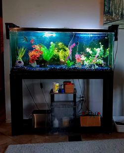 New  fish tank plants/ heater/ air pump
