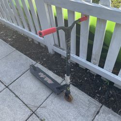 Custom Scooter