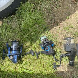 Fishing Reels