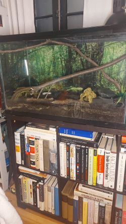 Fish Tank